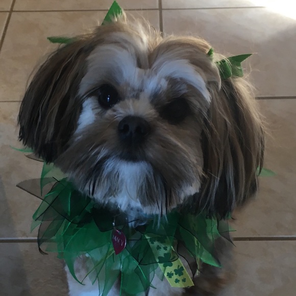 Meet your Posher, Kelly - Picture 1 of 1